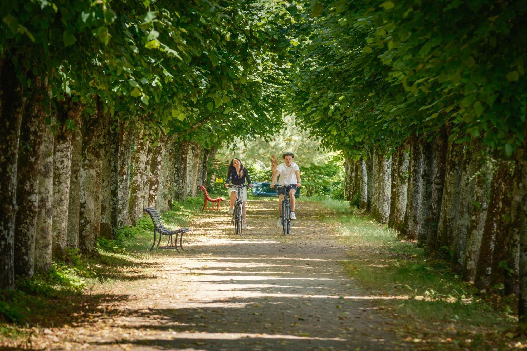 Chateau De Rochecotte Saint-Patrice Luaran gambar